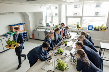 Several pupils and one teacher working around a science bench in a school classroom. The students are working with scientific equipment such as microscopes. They are studying different plants,